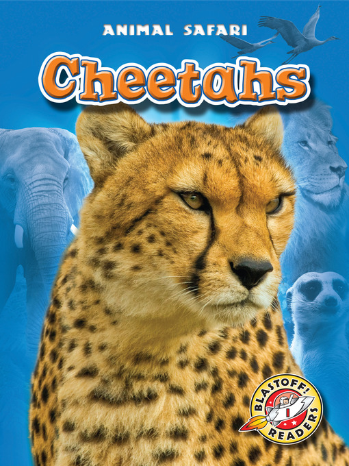 Dana Fleming创作的Cheetahs作品的详细信息 - 可供借阅